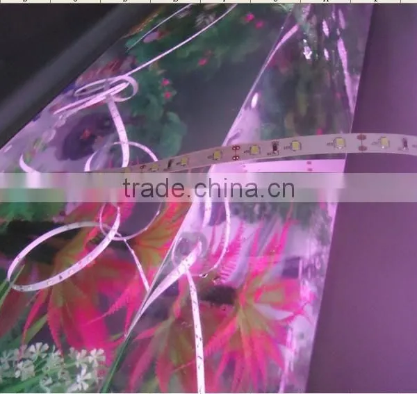 Nano Coating Parylene Coating Led Strip Light photo-4