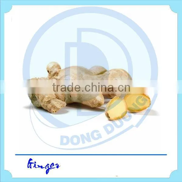 Ginger Powder