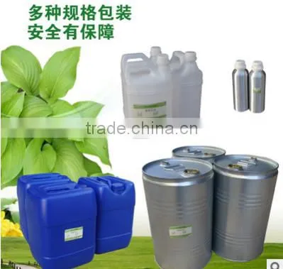 Best Aloe Vera Gel Prices/aloe Vera Gel Bulk photo-5