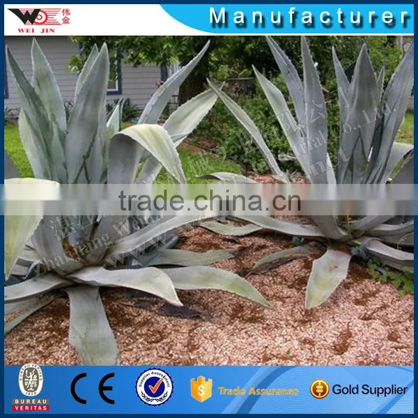 ZGM-4402 Sisal Fiber Extractor Machine 2t/h In Kenya photo-6