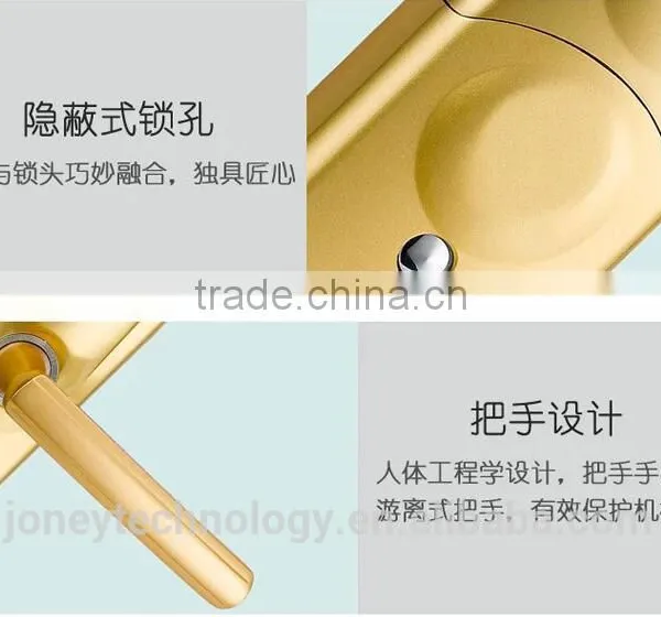 Remote Control Fingerprint Passwords Electric Door Lock photo-6