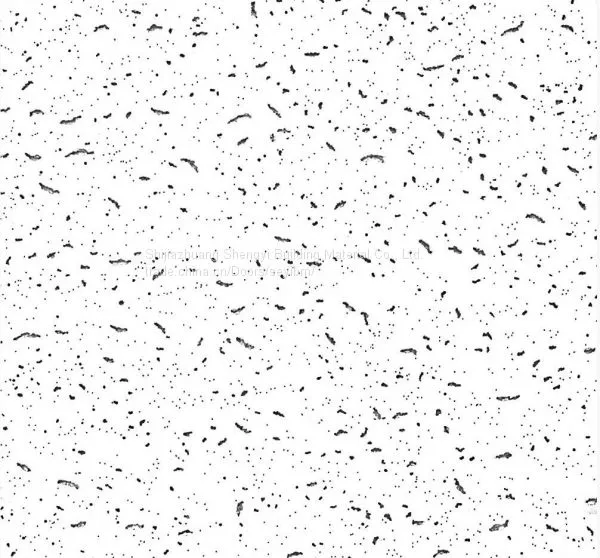 Soundproof Mineral Fiber Ceiling/Board photo-5
