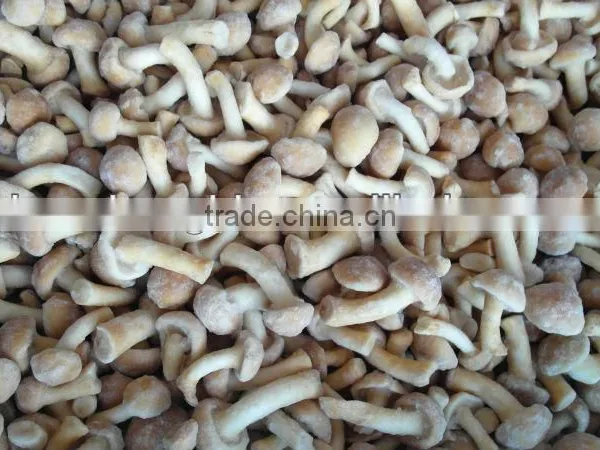 IQF Nameko