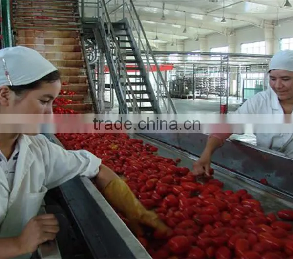 Tomato Paste With Good Quality Fresh Tomato Paste photo-5