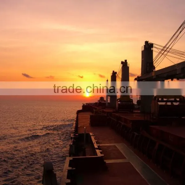 Voyage Charter for Bulk Vessels photo-2