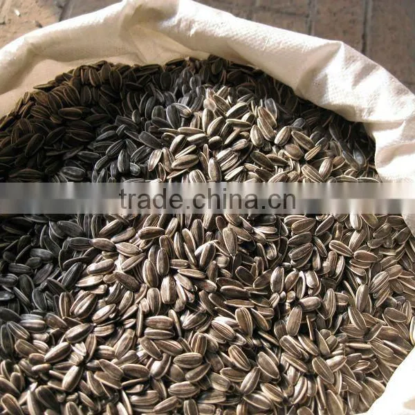 Sunflower Seeds