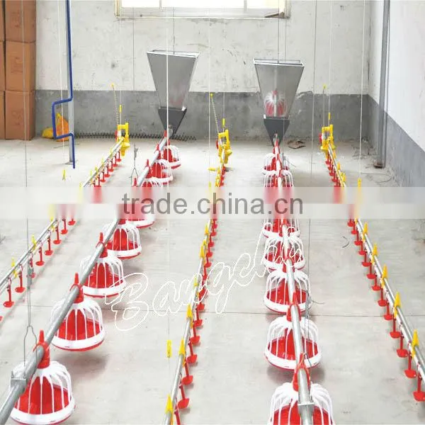 Bangchi Poultry Automatic Equipment Feeding and Drinking System photo-4