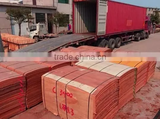 Keruing Face Veneer Rotary to India 100 % Grade C 3mm Thickness photo-5