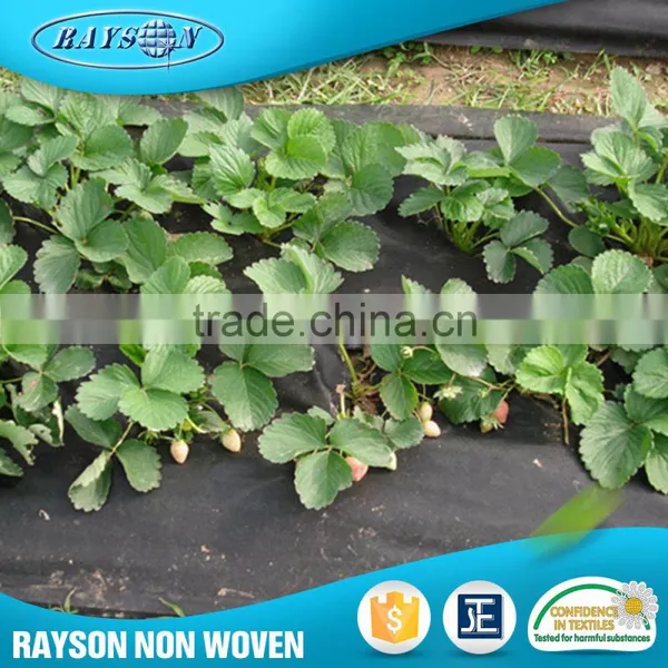 China Supplier Mulching Flower Wrapping Material Agriculture Black Plastic Film photo-2
