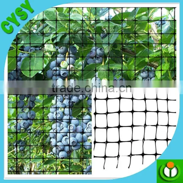Green Color PE Climbing Plants Support Plastic Network photo-2