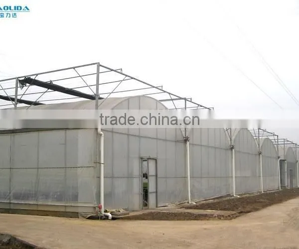 BLD Large Multi-span Plastic Film Green House and Commercial Green House for Plant Growth photo-6