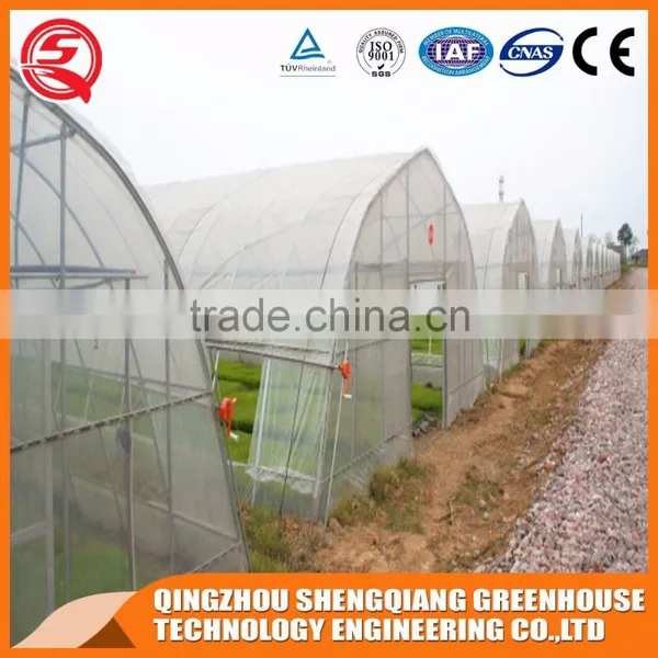 Multifunction Plastic Film Greenhouse for Vegetables Planting,flowers,culture photo-5