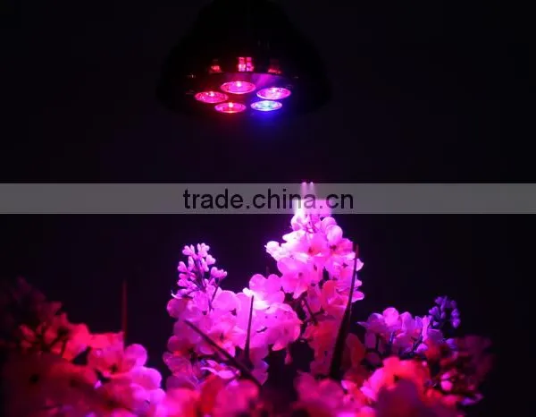 Hot Sales in USA Europe 24w 12w 15W 21W 27W 45W 54W E27 Led Garden Light PAR38 Led Grow Light photo-5