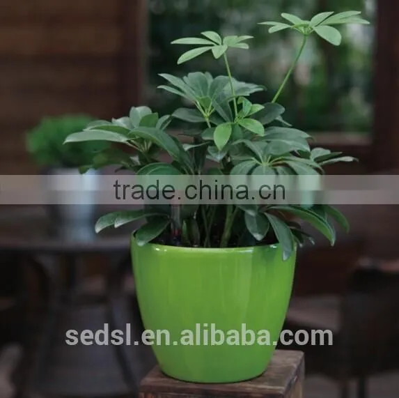 Small Decorative Plastic Plant Pots Indoor, Flower Pots photo-3