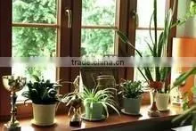 Solid Wood Furniture Parts