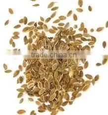 Dill Seed Oil photo-5