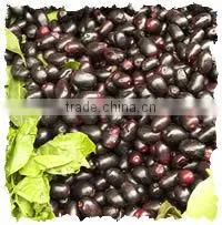 Eugenia Jambulana Extract photo-3