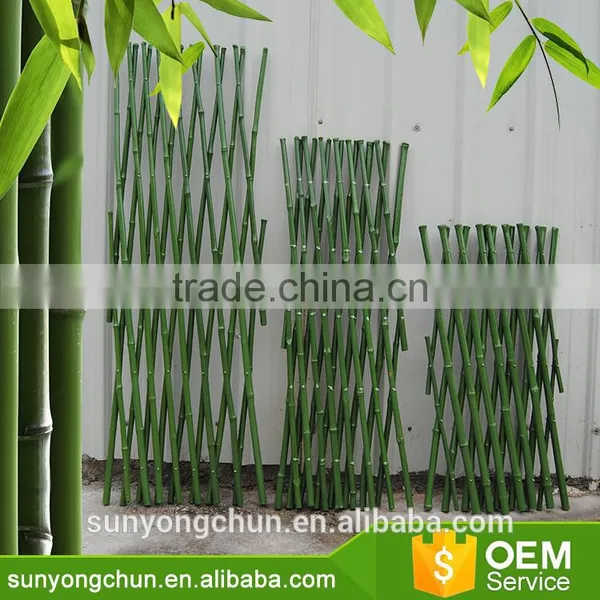 Hot Rural Style Bamboo Raw Materials Green Garden Chinese Bamboo Canes photo-2