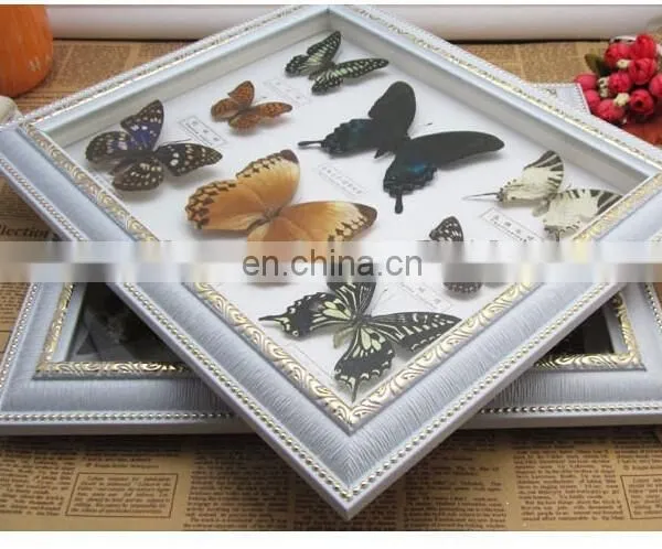 Real Butterfly Mounted in Frames - Decoration & Gifts photo-3