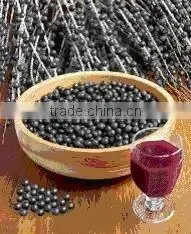 Acai Berry Powder
