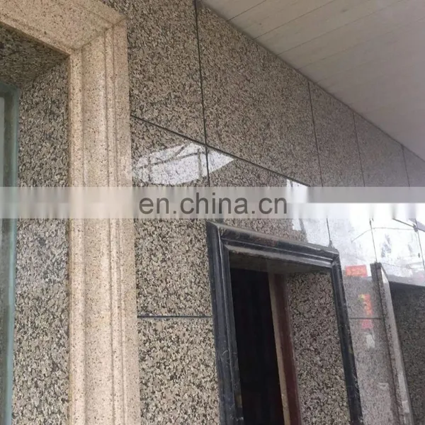 Polished Wall Granite Slab 20mm Thickness photo-2