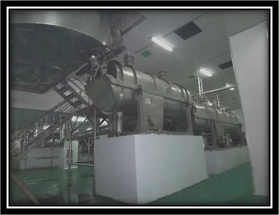 Fluidized Bed Drying System - 70% Energy-efficient and High-performance