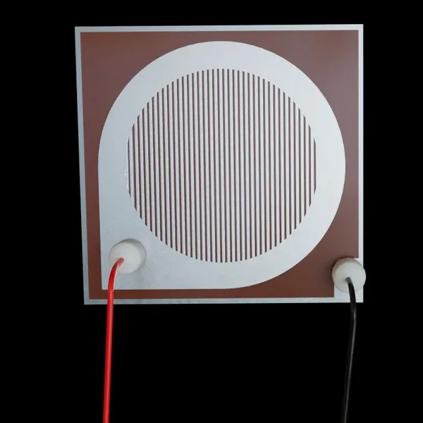 ACM Corrosion Sensors