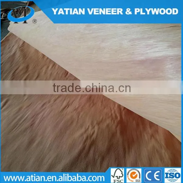 Rotary Cut 0.22-0.3mm Door Size Water Gum Veneer photo-2