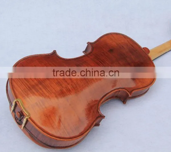 Violin photo-2