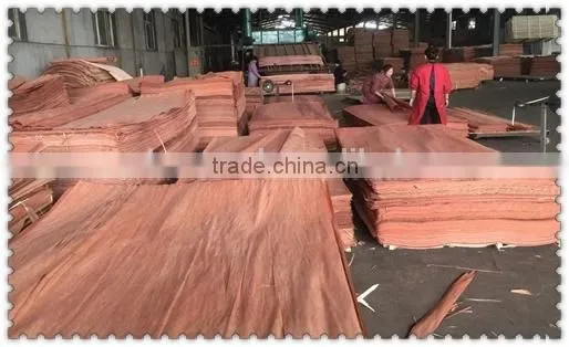 Camrium Massive Exterior Wood Veneer for Plywood photo-2