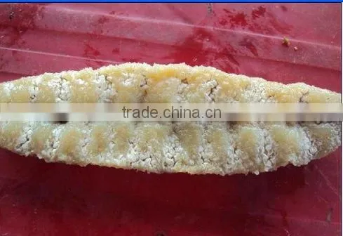 Sea Cucumber