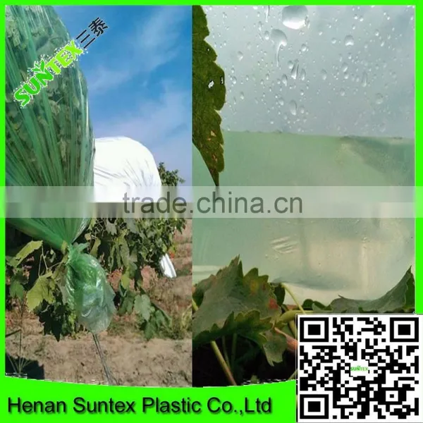 Agricultural Plastic Greenhouse Film/anti Sunheat Reflective Film/greenhouse Cover Film photo-2