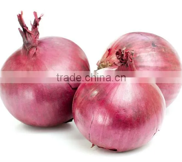 Lal Fresh Onions