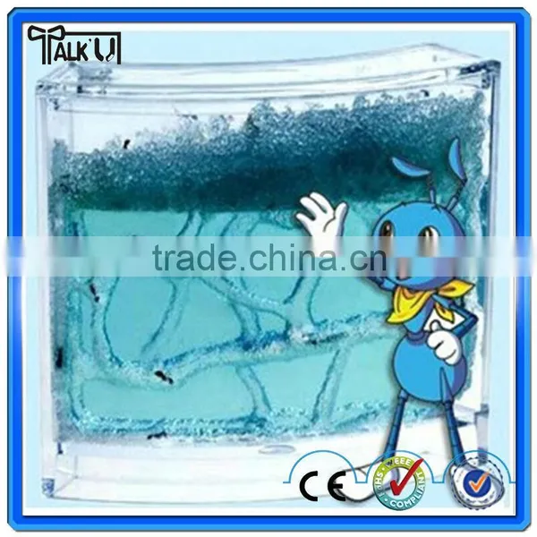 High Quality Wholesale Magic Toy Ant Farm for Children Education of Ant Worker