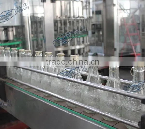 Glass Bottled Tea Making Equipment/tea Drinks Filling Line photo-3