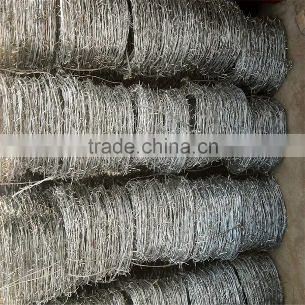 Double Reversed Twist Barbed Wire photo-4