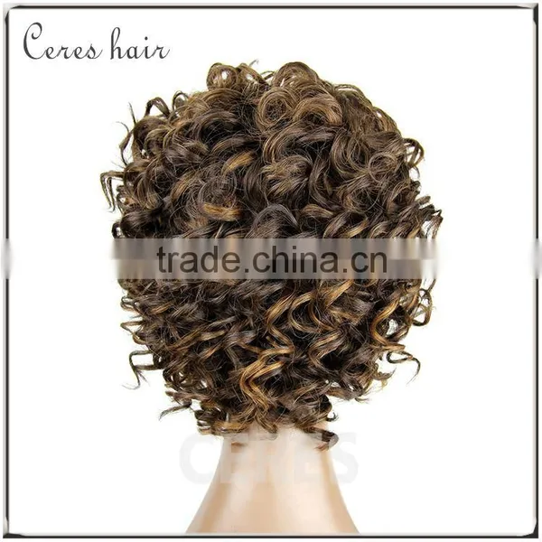 100% Premium Synthetic Wig Short Wig Afro Kinky Curly Wig for Black Women photo-3