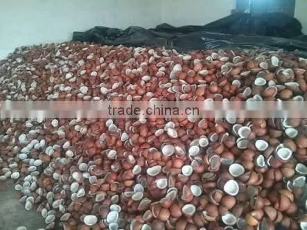Dried Coconut Meat Ball Copra From India photo-6