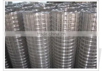 Galvanized Welded Wire Mesh