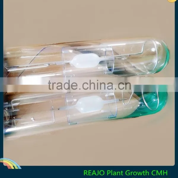 Horticulture Plant Growth Light Protected CMH 315W photo-5