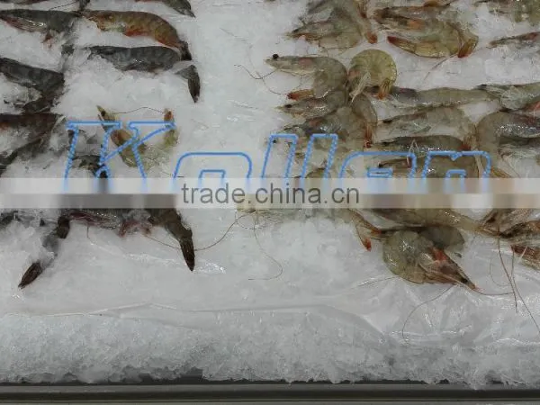 Carbon Steel Evaporator Drum of Flake Ice Machine for Fishery photo-3