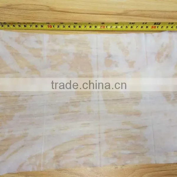 Freezefat Anti-freezing Membrane/ Freezefat Membrane / Anti Freezing Membrance photo-6