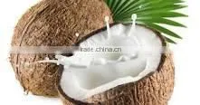 Coconut Milk Produced in Vietnam Fat 22% photo-3
