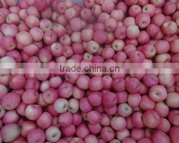 Red Delicious Apples