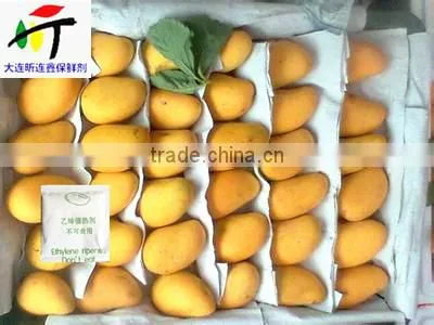 Very High Quality Mango Ripener Ethylene(26)