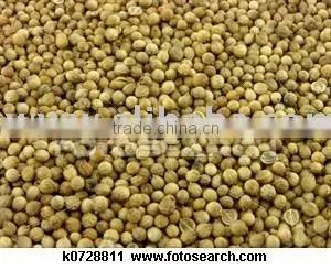 Coriander Whole and Powder