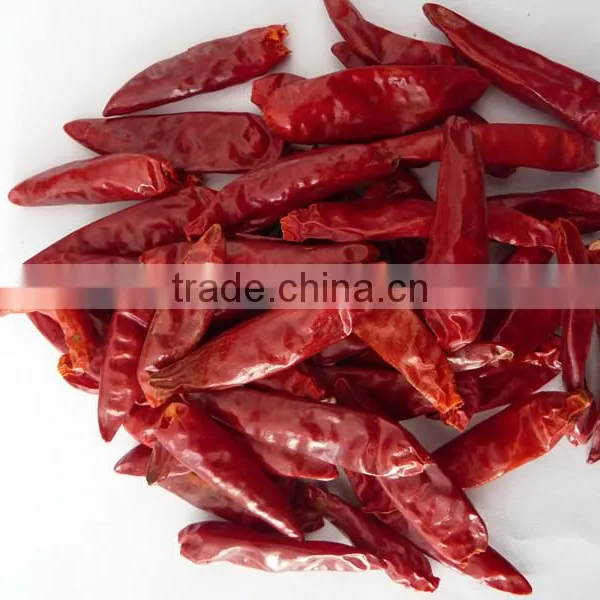 Without Stem Chilli Whole Chilli Midium Hot Chilli photo-4