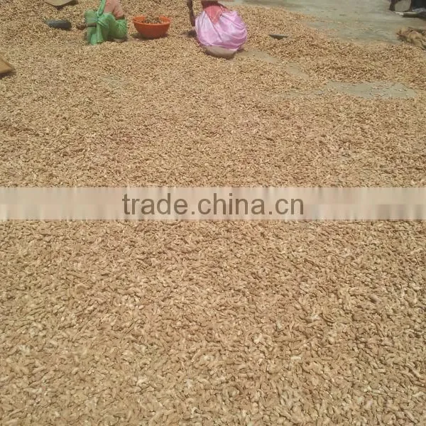 DRY GINGER WHOLE