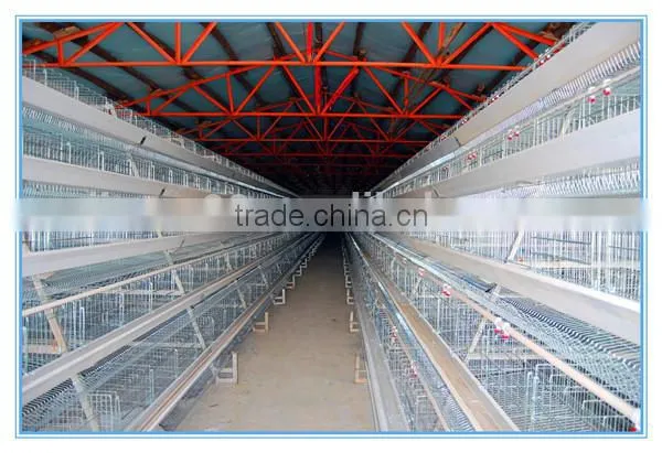 Automatic Poultry Equipment Poultry Slaughtering Equipment