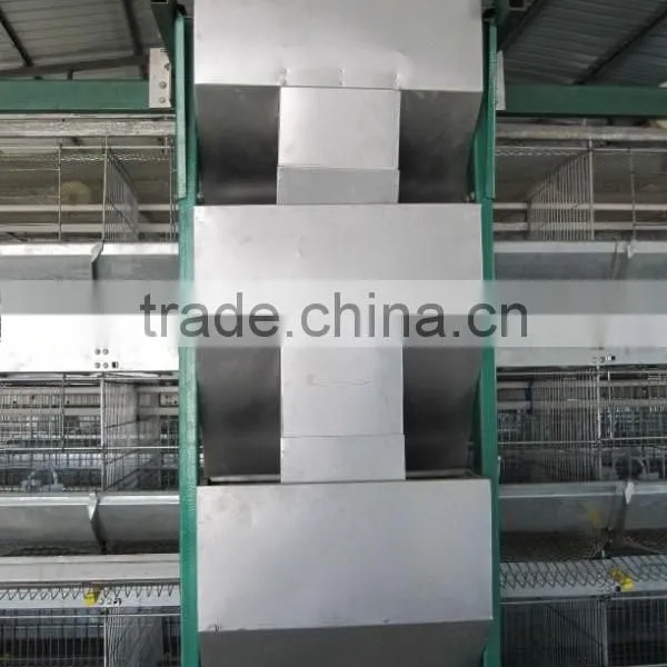 China Sell Automatic Quail Cages and Equipment photo-4